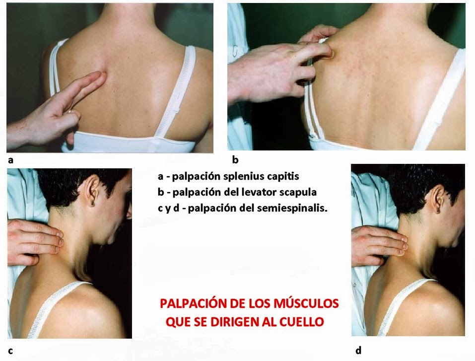 El yoga contra los dolores en el cuello